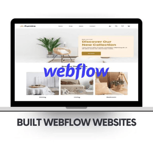 Webflow Development
